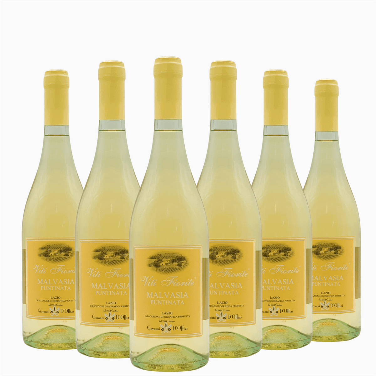 Consegna GRATUITA

Vino bianco dal colore giallo intenso dovuto ad una leggera macerazione sulle bucce, offre toni dolci di mughetto e ciclamino, caramella al limone con pesca bianca ed erbe aromatiche.

Fresco e fruttato, presenta un gusto asciutto, pulito e di grande sapidità.