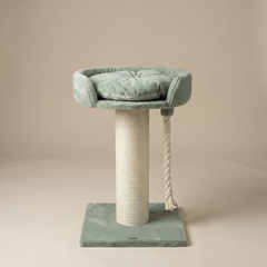 Cat Tree Chartreux (Pistachio Teddy)